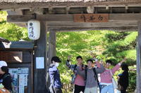 写真６
